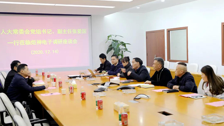 郴州市人大常委會黨組書記、副主任張愛國到炬神電子調研安全生產工作